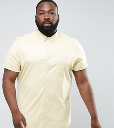 Зеленая эластичная оксфордская рубашка узкого кроя ASOS PLUS - Зеленый