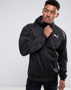 Черная ветровка Puma 59234201 - Черный