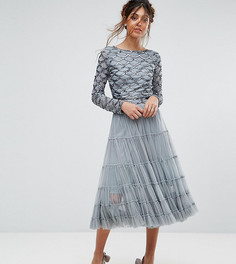 Ярусная тюлевая юбка с отделкой на поясе Lace &amp; Beads - Серый