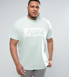 Зеленая футболка в винтажном стиле Puma PLUS Speed эксклюзивно для ASOS - Зеленый
