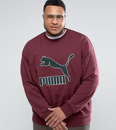 Красный свитшот в винтажном стиле с логотипом Puma PLUS эксклюзивно для ASOS - Красный