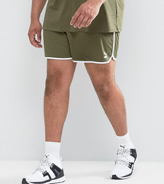 Зеленые сетчатые шорты в стиле ретро Puma PLUS эксклюзивно для ASOS - Зеленый