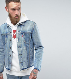 Светлая джинсовая куртка Levis - Синий Levis®