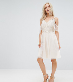 Короткое приталенное платье с открытыми плечами и кружевом Little Mistress Petite - Кремовый