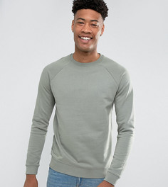 Зеленый свитшот ASOS TALL - Зеленый
