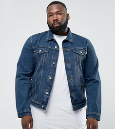 Синяя джинсовая куртка ASOS PLUS - Синий