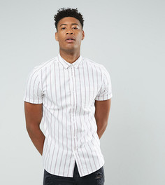 Облегающая эластичная оксфордская рубашка в полоску ASOS TALL - Красный