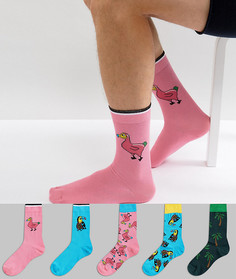 5 пар носков с принтом туканов и дронтов ASOS - Мульти