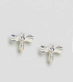 Серебряные серьги-гвоздики в виде стрекозы ASOS - Серебряный