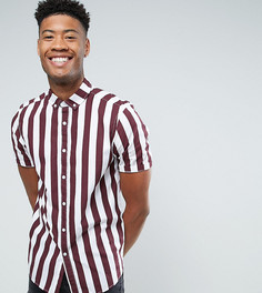 Бордовая рубашка классического кроя в полоску ASOS TALL - Красный
