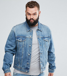 Светлая джинсовая куртка ASOS PLUS - Синий