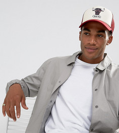 Состаренная кепка Mitchell &amp; Ness Chicago Bulls эксклюзивно для ASOS - Красный