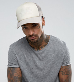 Кепка Mitchell &amp; Ness Michigan эксклюзивно для ASOS - Бежевый