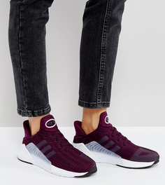 Бордовые кроссовки adidas Originals Climacool - Красный