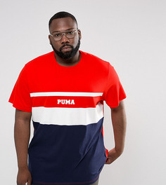 Красная футболка колор блок Puma PLUS эксклюзивно для ASOS 57659202 - Красный