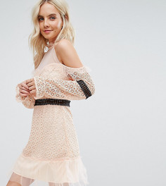 Кружевное платье мини с открытыми плечами и контрастным поясом True Decadence Petite - Розовый