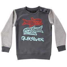 Толстовка классическая детская Quiksilver Dblesharkcrby Iron Gate