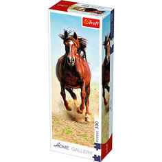 Пазлы Tопот копыт, 300 элементов Hasbro