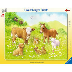 Пазл «На лугу», 37 деталей, Ravensburger