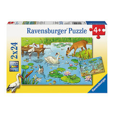Набор пазлов «На пруду» 2х24 деталей, Ravensburger