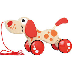 Деревянная каталка "Щенок", Hape