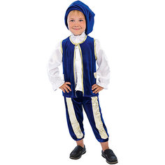Карнавальный костюм для мальчика "Принц Люкс", Вестифика