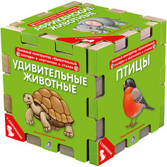 Книжный конструктор "Удивительный зоопарк в картинках и стихах" Робинс