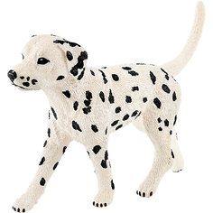 Далматин, самец, Schleich