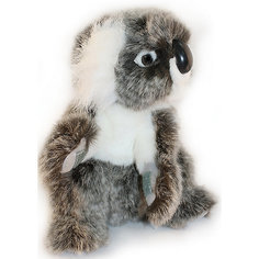 Коала, 21 см Hansa