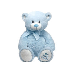 Медвежонок My First Teddy (голубой), 20 см TY