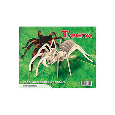 Тарантул, Мир деревянных игрушек МДИ