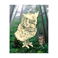 Сова, Мир деревянных игрушек МДИ