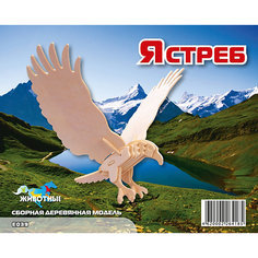 Ястреб, Мир деревянных игрушек МДИ