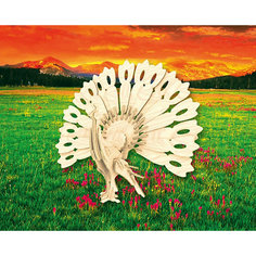 Павлин, Мир деревянных игрушек МДИ