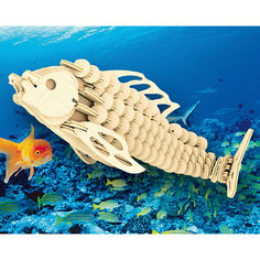 Карп, Мир деревянных игрушек МДИ