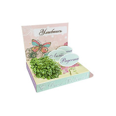 Подарочный набор для выращивания "С днем рождения" - Бабочка Happy Plant Бумбарам