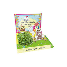 Набор для выращивания "С Днем Рождения!" - Котик, Happy Plant Бумбарам