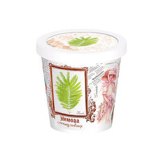 Набор для выращивания "Мимоза" Rostok Visa Бумбарам