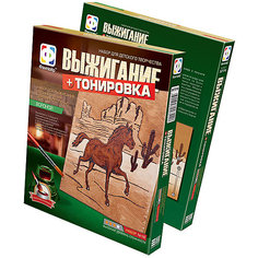 Выжигание Вороной Фантазер