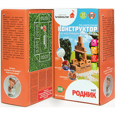 Конструктор "Родник 2 в 1", 35 деталей, BRICKMASTER
