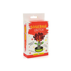 Волшебные кристаллы "Бордовый цветок" Бумбарам
