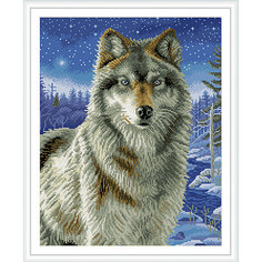 Алмазная мозаика по номерам "Волк" 40*50 см (на подрамнике) Tukzar