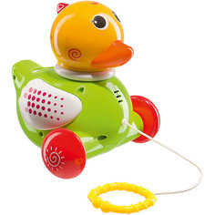 Игрушка-каталка Happy Baby "Ducky"