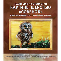 Картина шерстью "Совенок" Цветной