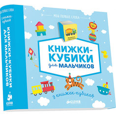 9 книжек-кубиков "Книжки-кубики для мальчиков", Мои первые слова Clever