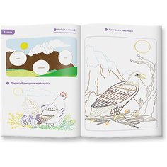 Обучающая раскраска с наклейками "Птицы" Издательство ГеоДом