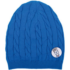 Шапка для мальчика Gulliver