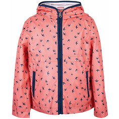 Куртка для девочки  BUTTON BLUE