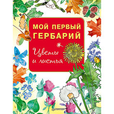 Книга "Мой первый гербарий: Цветы и листья" ПИТЕР