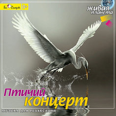CD "Птичий концерт" Би Смарт